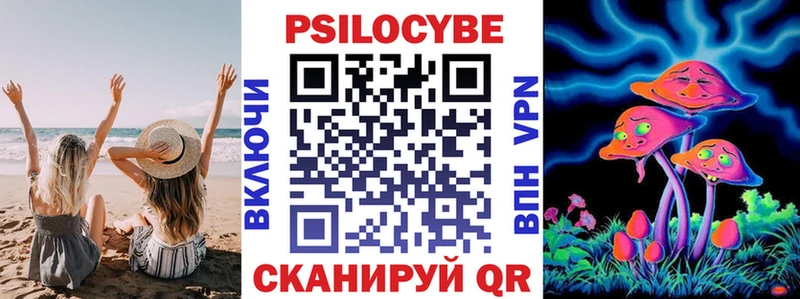 Псилоцибиновые грибы Magic Shrooms  ОМГ ОМГ вход  Кизляр 