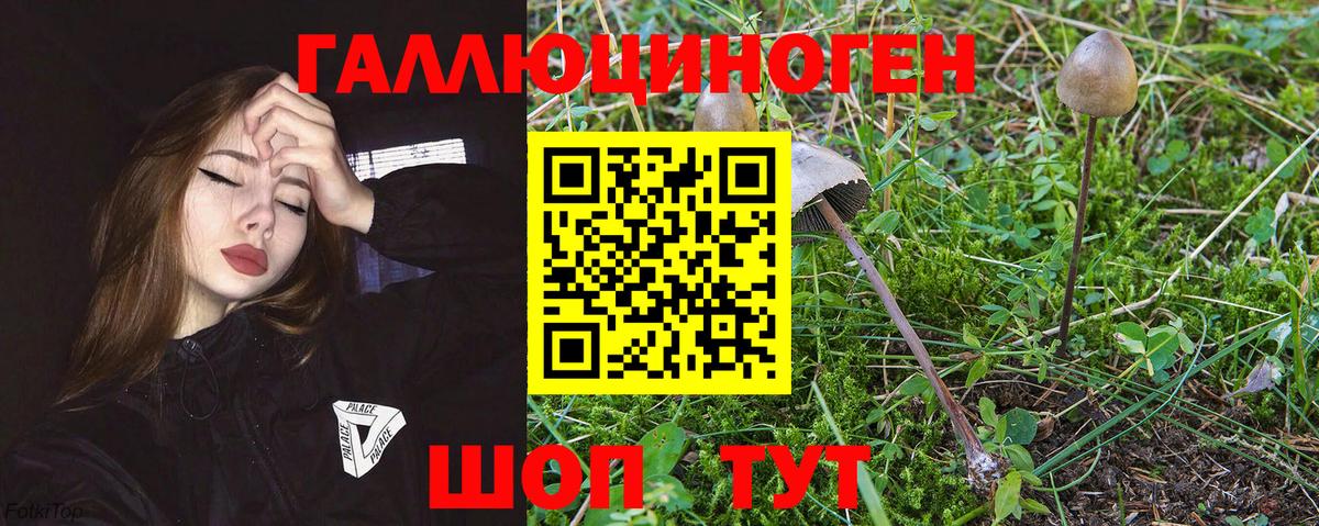 Галлюциногенные грибы Magic Shrooms Кизляр
