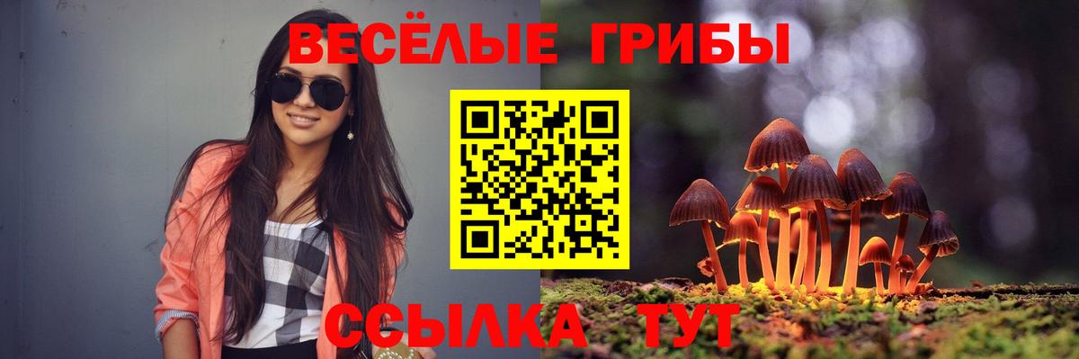 Псилоцибиновые грибы Magic Shrooms  Вход с VPN  Псилоцибиновые грибы Psilocybe  Кизляр 